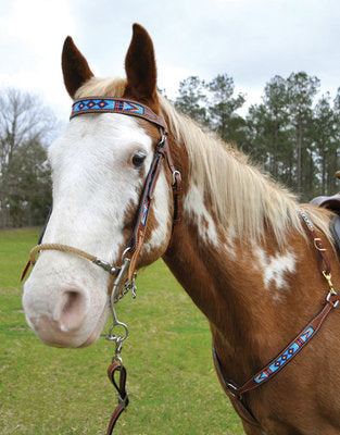 Native American Beaded Tack