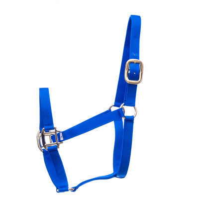 Premium Halters, Large Horse (900-1200 lb)