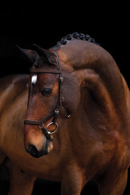 Rambo Micklem Competition Bridle, Dark Havana