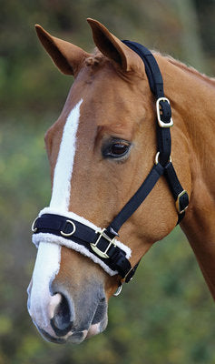 Fleece Lined Lunge Cavesson, Full Size