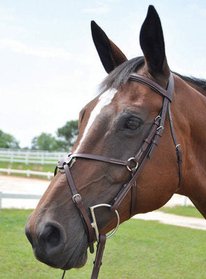 Kincade Padded Figure 8 Bridle
