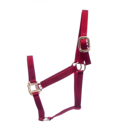 Premium Halters, Large Horse (900-1200 lb)