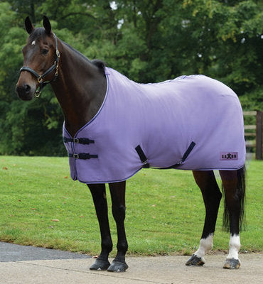 Saxon Element Polar Fleece Cooler, Purple/Navy Trim