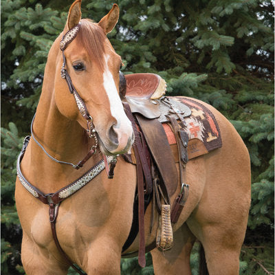 Weaver Gold Dust Collection