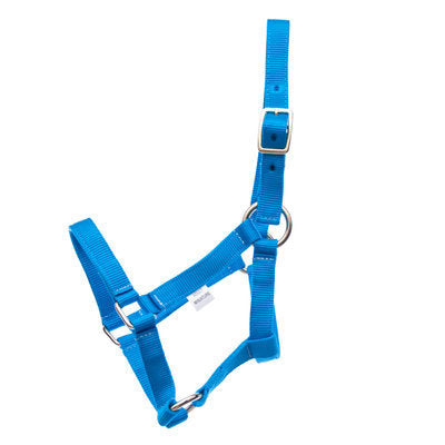 Jeffers Miniature Horse Halter, 2-yr old (under 200 lb)
