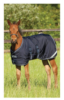 Amigo 600D Foal Blanket 200g (Medium Weight)