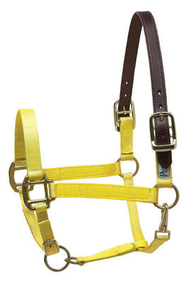 Breakaway Halter, Horse Size