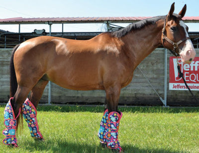 Jeffers Expression Horse Shipping Boots