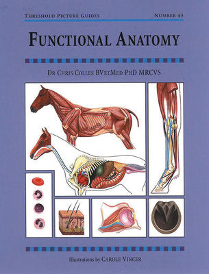 Functional Anatomy by Dr Chris Colles