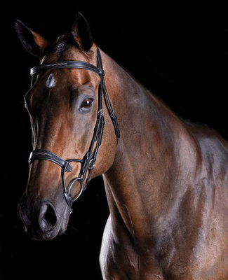 Collegiate ComFITec Fancy Stitch Bridle