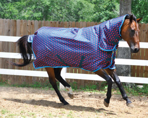 Jeffers 600D Combo Neck Polka Dot Blanket 240g, Pink