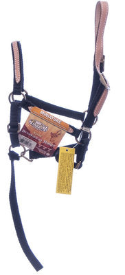 Miniature Breakaway Halter, Large