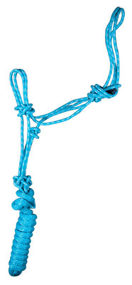 Rope Halter with Lead