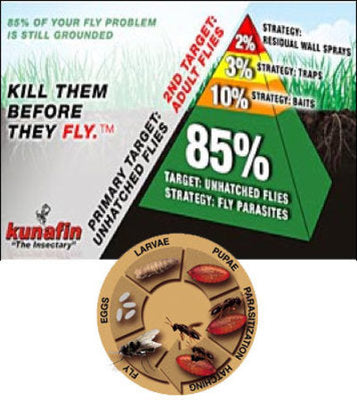 Biological Fly Control by Kunafin