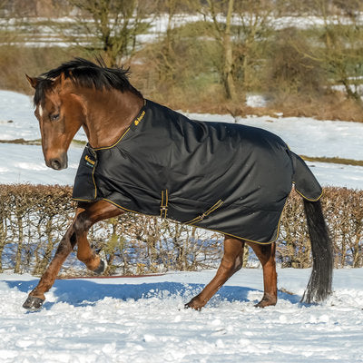Bucas Irish 1200D Heavy Weight Horse Blanket