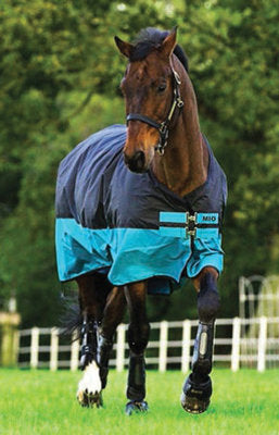 Amigo Mio 600D Horse Turnout Sheet