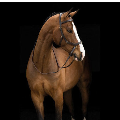 Rambo Micklem Multi Horse Bridle
