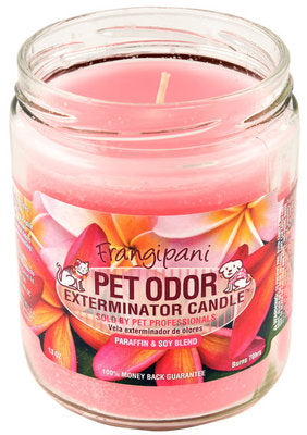 Pet Odor Exterminator Candle, Frangipani