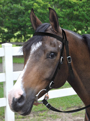 Nylon Bridle w/ Split Reins