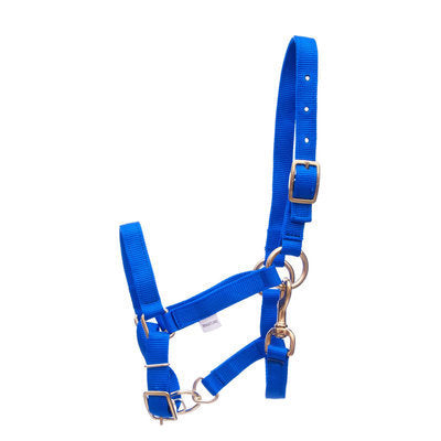 3/4&quot; Adjustable Nylon Miniature Halter
