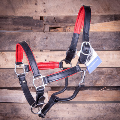 Perri&amp;#39;s Soft Padded Leather Halter, Black/Red