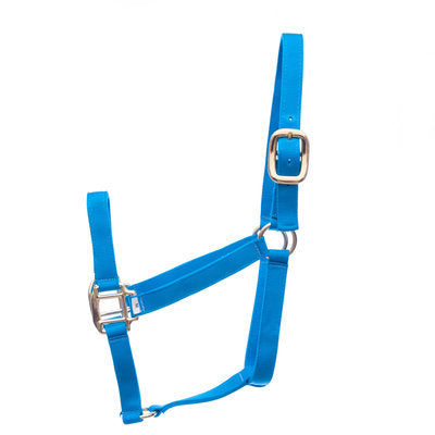 Premium Halters, Large Horse (900-1200 lb)