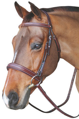 HDR Mono Crown Bridle