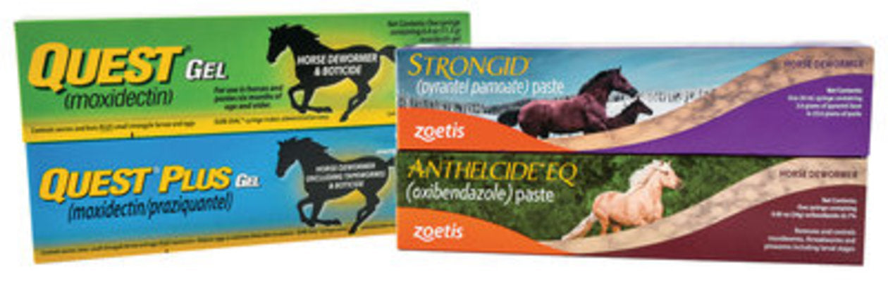 Zoetis Horse Deworming Kit
