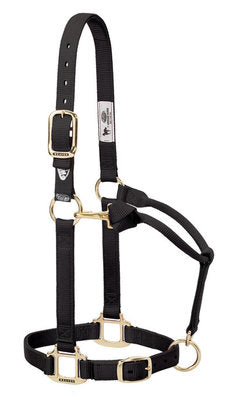 Xtended Life Closure System Breakaway Halter