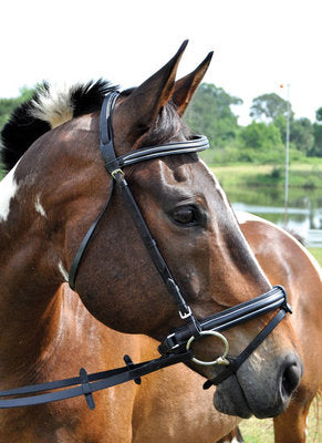 Uniquely English Padded Bridle, Black