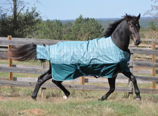 TuffRider Bonum Standard Neck Turnout Blanket, Medium