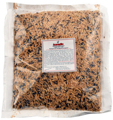 Biological Fly Control by Kunafin