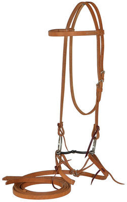 Diamond R Bridle with O-Ring Bit