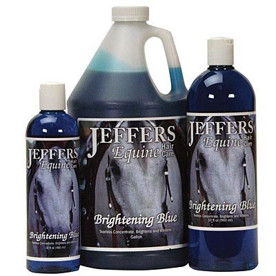 Brightening Blue Shampoo