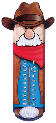 Decorative Tin Thermometer