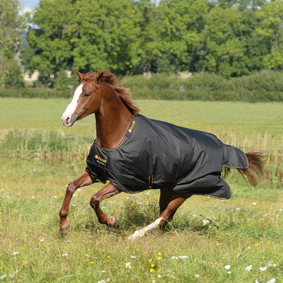 Bucas Irish 1200D Light Weight Horse Blanket