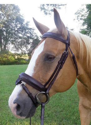 Uniquely English Deluxe Fancy Stitched Snaffle Bridle