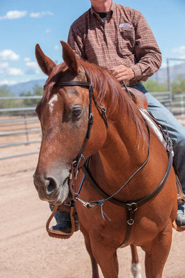 Trailhead Collection - Noseband Only