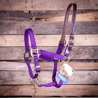 Breakaway Halter, Horse Size
