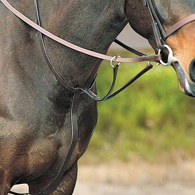Kincade Flat Running Martingale