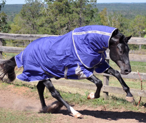 TuffRider 1200D Major Detachable Neck Blanket, 220g