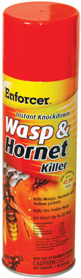 Instant Knockdown Wasp &amp;amp; Hornet Killer, 16 oz