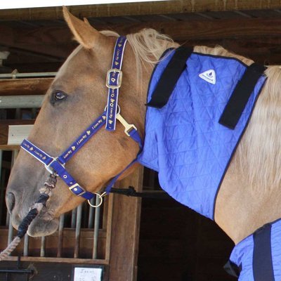 HyperKewl Horse Neck Cooler, Large