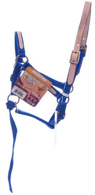 Miniature Breakaway Halter, Large