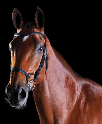 Collegiate ComFITec Training Bridle