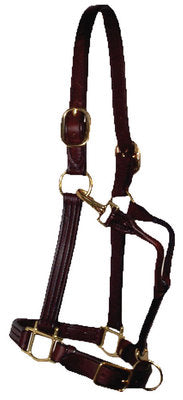 Berlin 1&quot; Track Leather Halter