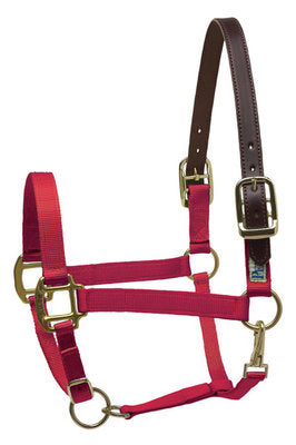 Breakaway Halter, Horse Size