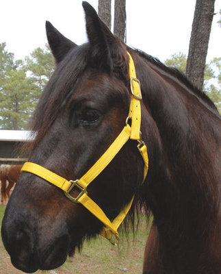 Nylon Draft Halter, medium (1600-2000 lb)