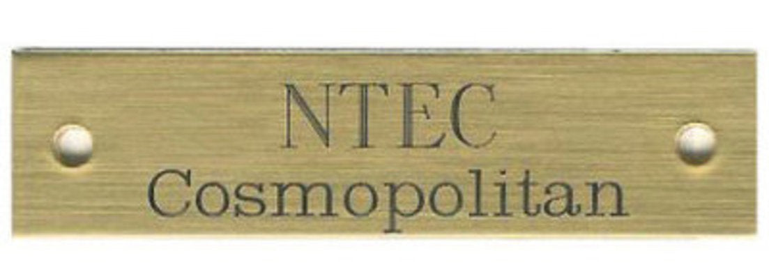 Beveled Brass Halter Plates