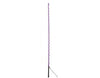 Lunge Whip with Rubber Handle